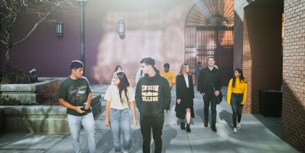 Group of students walking talking