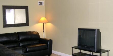 Living room with couches and TV