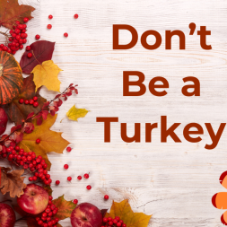 Don't Be a Turkey 800x600