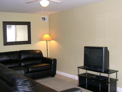 Living room with couches and TV